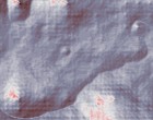 kontaktlinsen probe