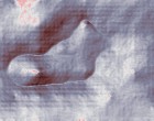 kontaktlinsen radius