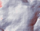 purevision kontaktlinsen